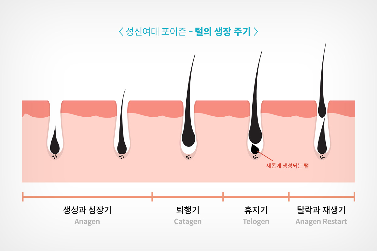 성신여대피부과 07.jpg