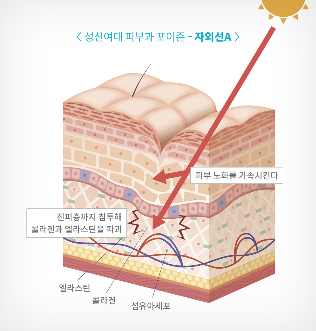 성신여대입구역 피부과 12.jpg