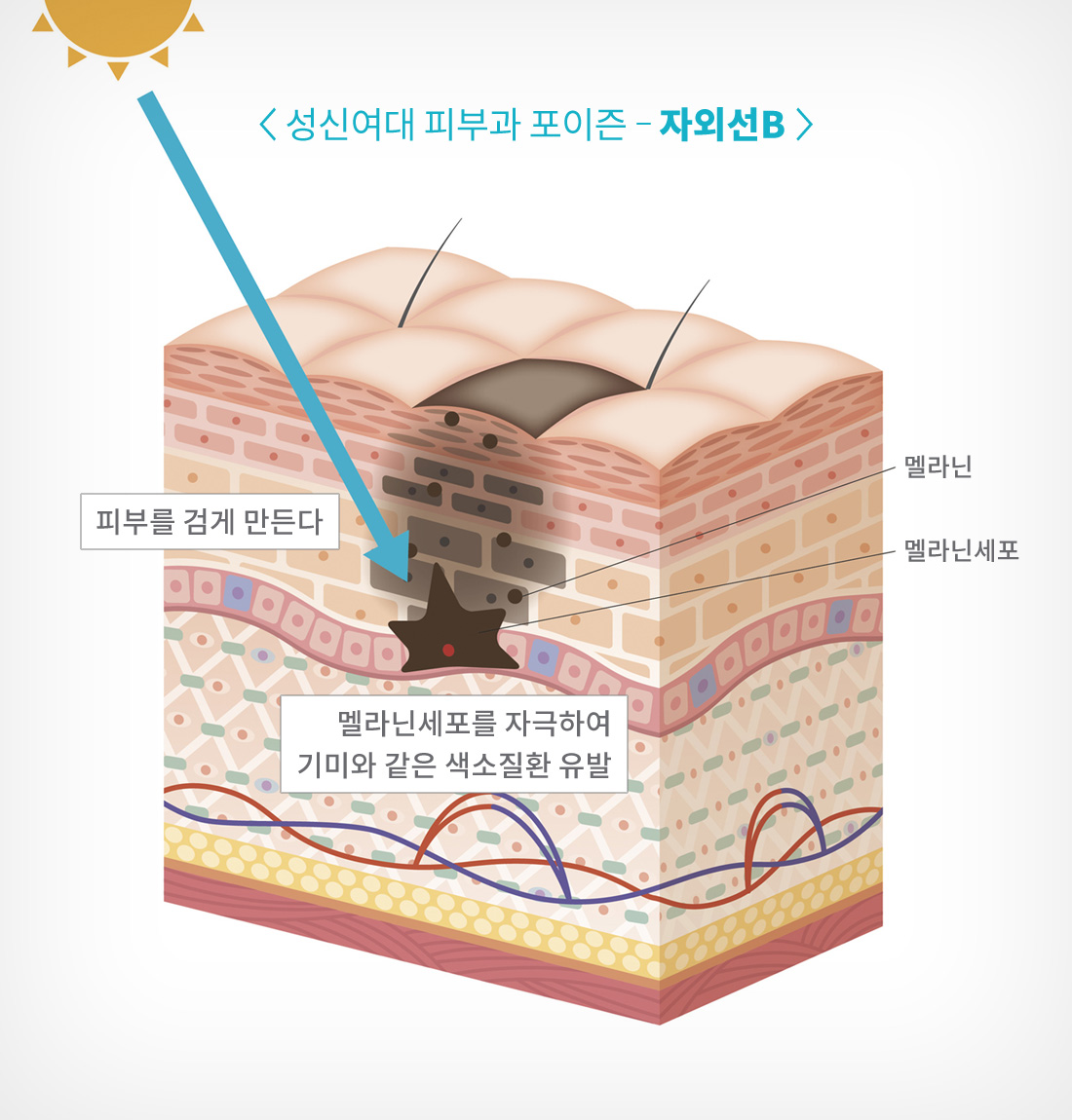성신여대입구역 피부과 11.jpg