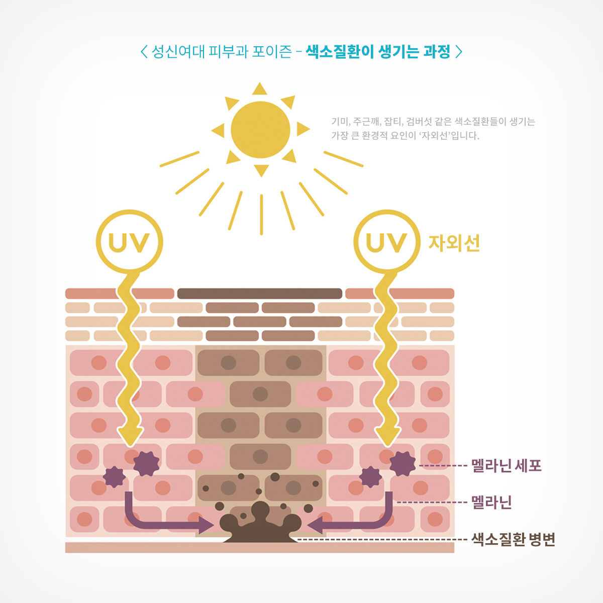 성신여대역피부과 01.jpg