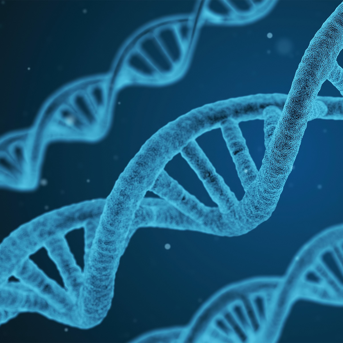 고려대피부과 07.jpg